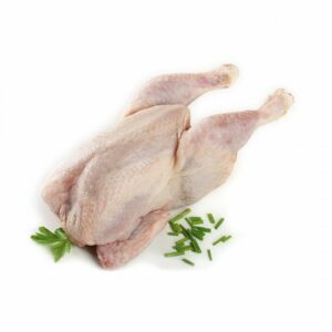 picantones-de-pollo